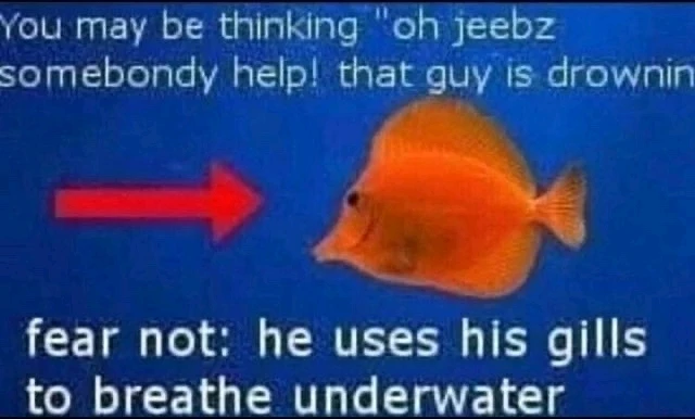 Image uploaded by Cooper