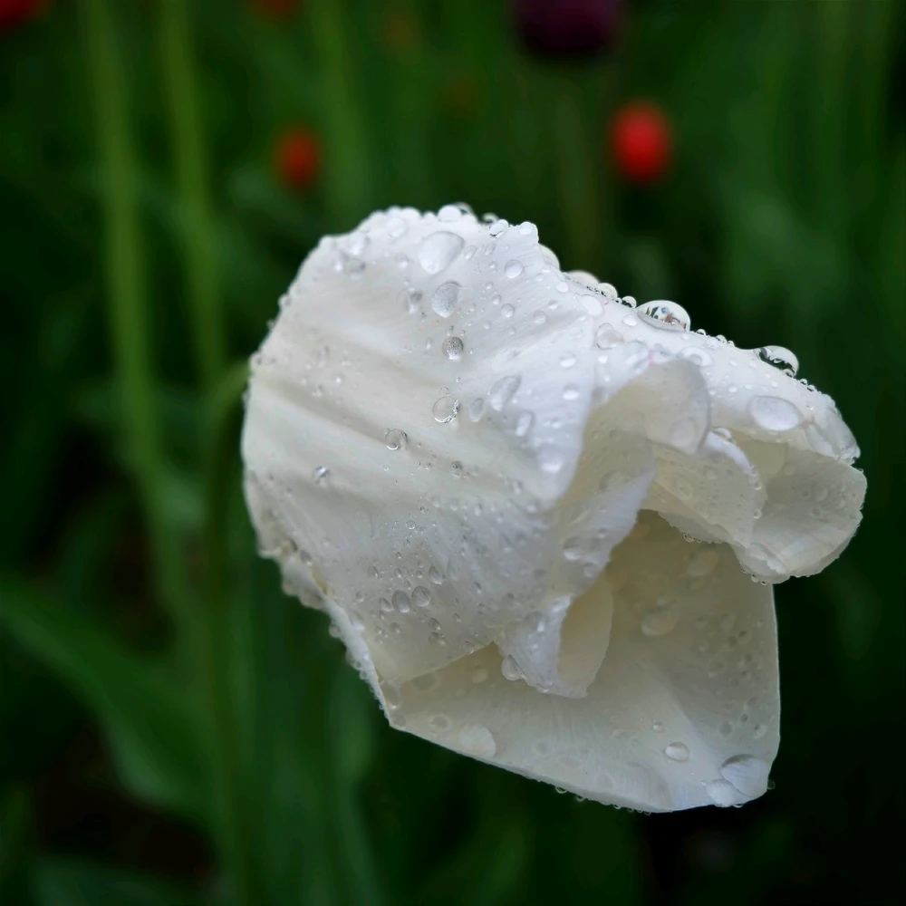 Bild hochgeladen von Ellena