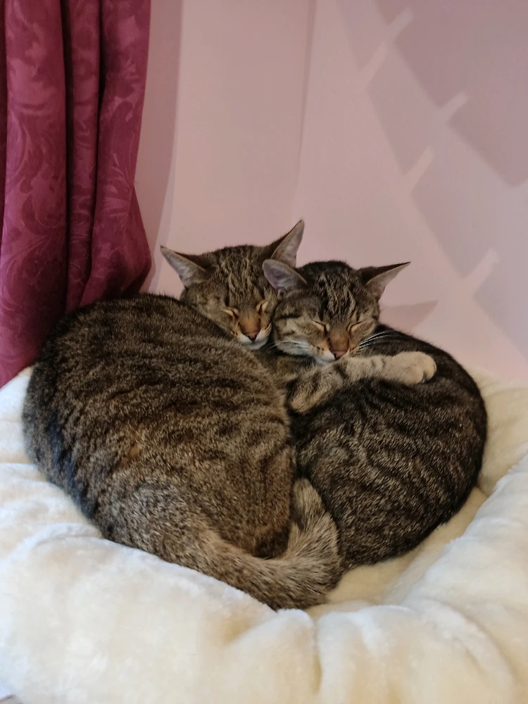 Zdjęcie dodane przez Dominika