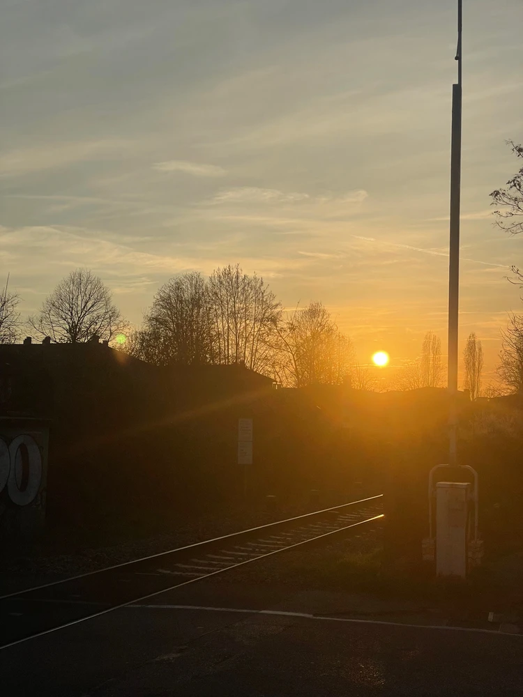 Immagine caricata da Dennys