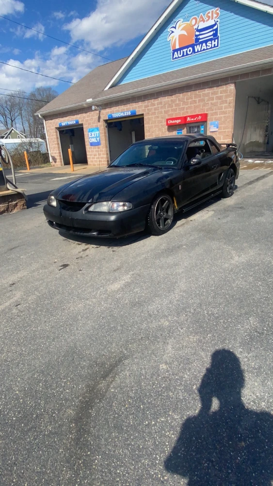 Image uploaded by Steven