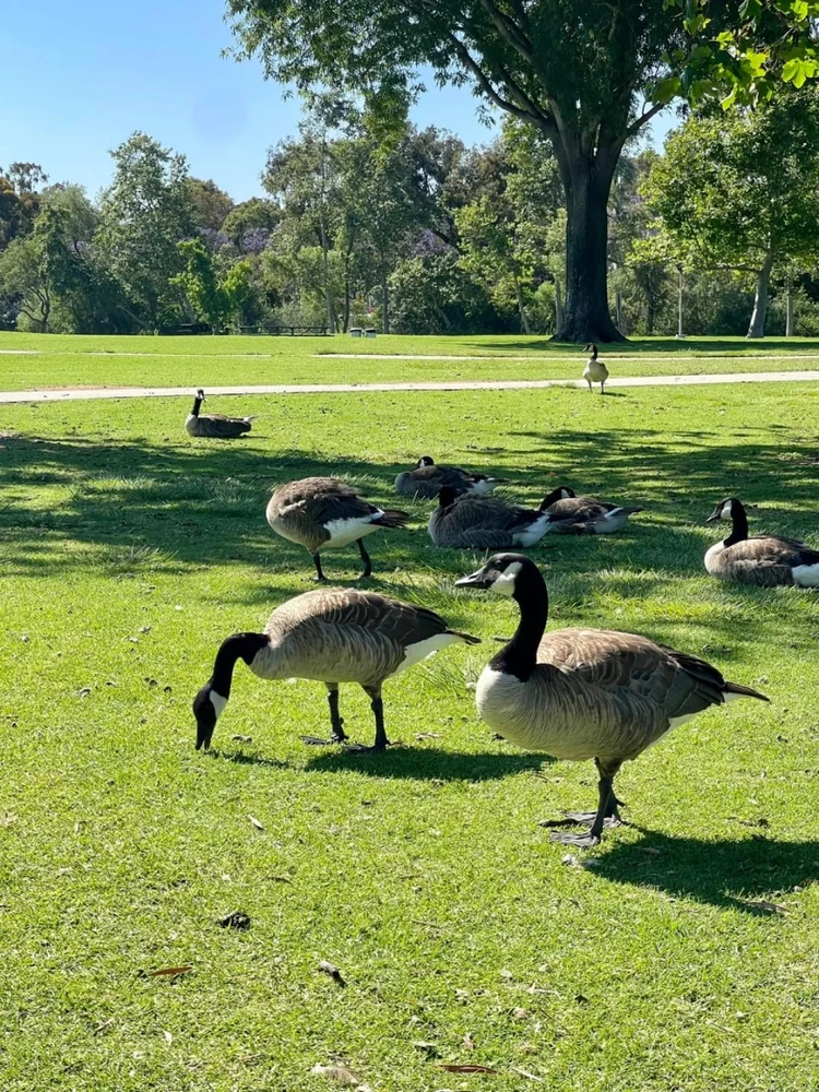 William R Mason Regional Park