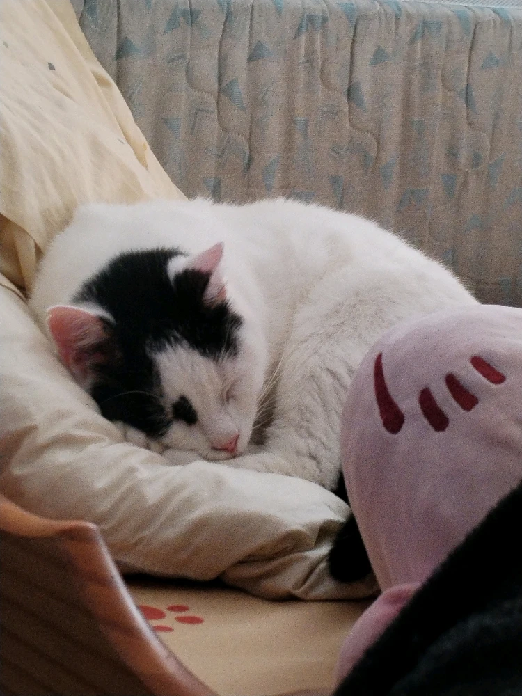 Image ajoutée par Yumi