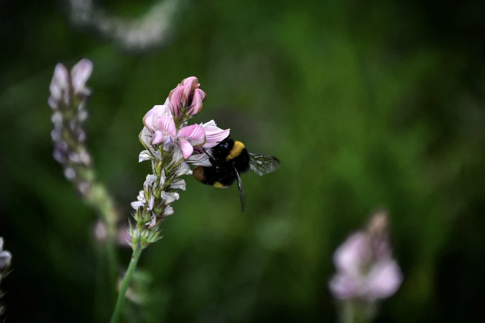 Immagine caricata da Luca