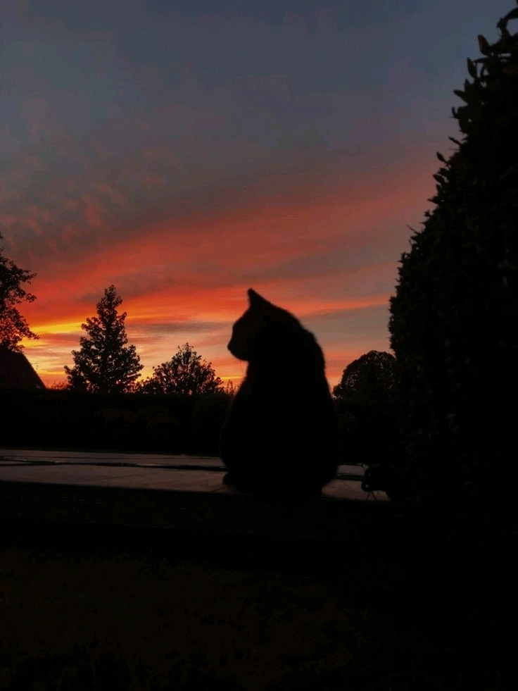 Imagem enviada por Danielle