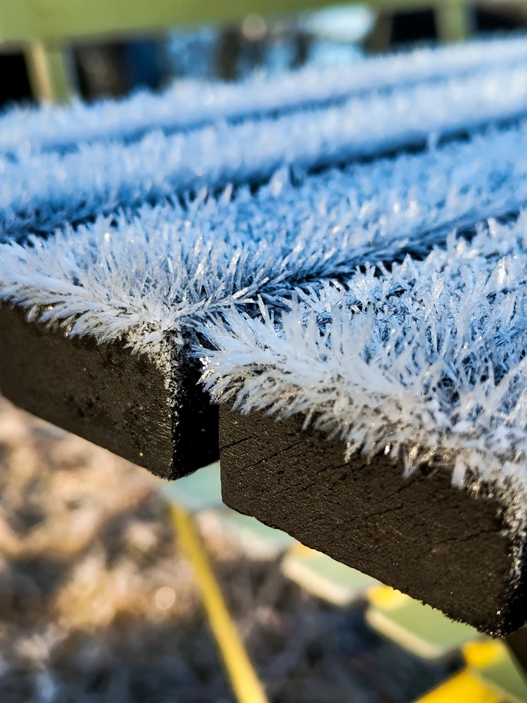 Image uploaded by Ben