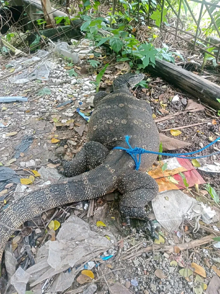 Gambar diunggah oleh Al-fachrurozi
