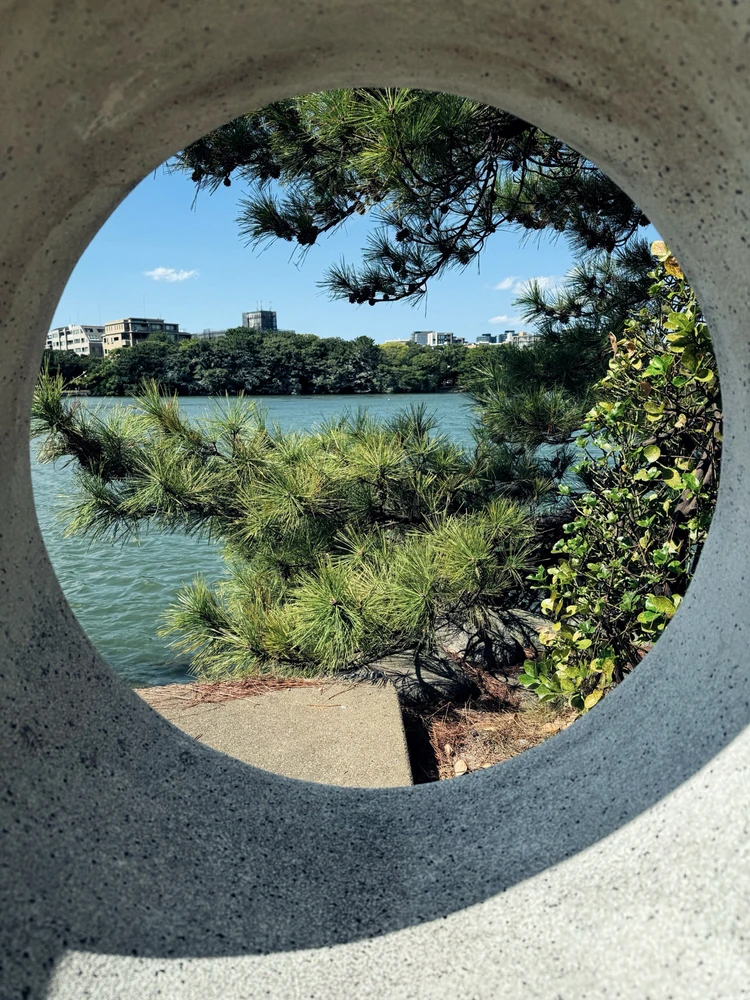 Through the peeping hole