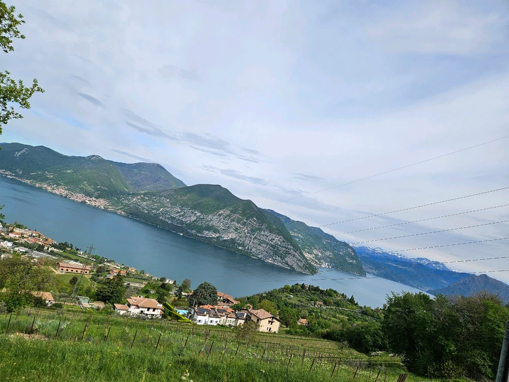 Immagine caricata da Francesca