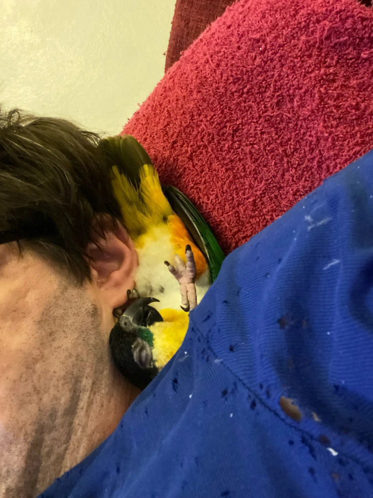 Image uploaded by richard murray