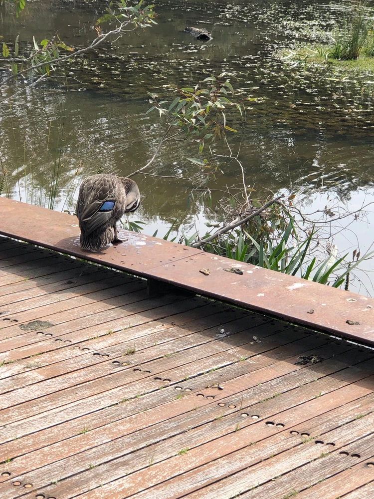 Grace上傳的圖片