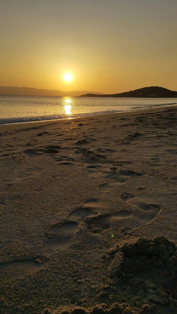 Imagen subida por Pablo