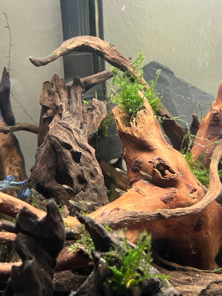 Bild hochgeladen von Thomas