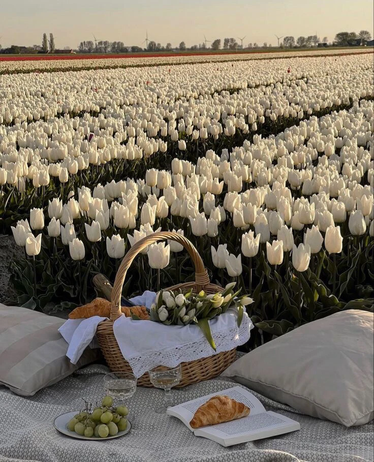 Yunna님이 올린 사진