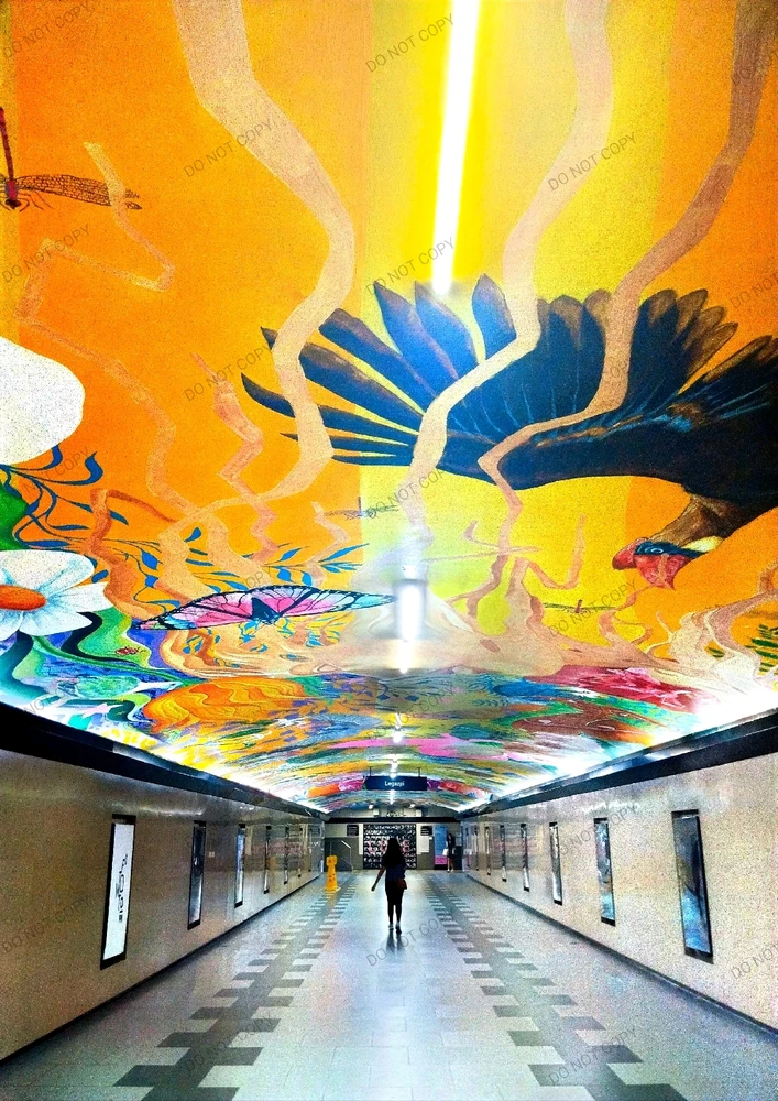 Image uploaded by Yllac