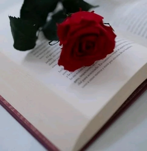 Imatge pujada per Kr