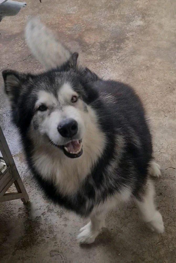 Image uploaded by Mac