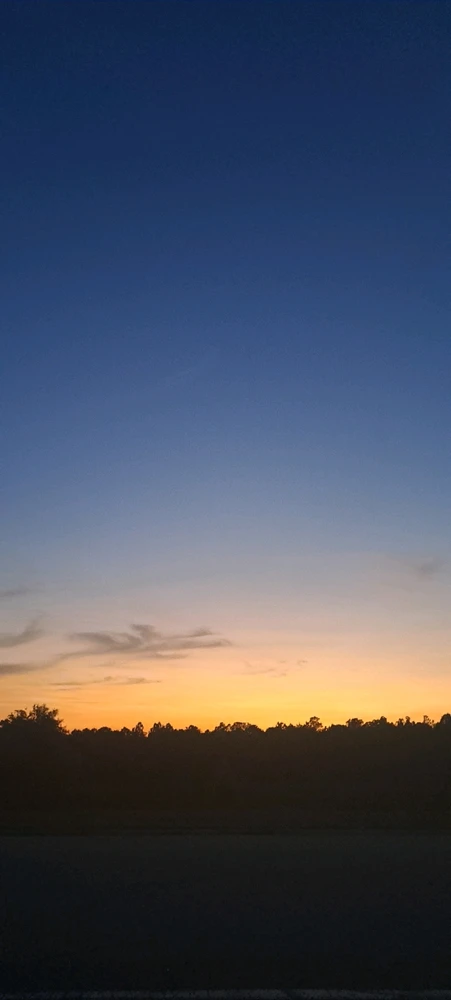 Image uploaded by Alexander