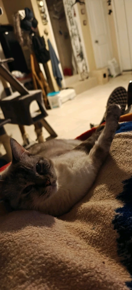 This is my little butt, French Toast
