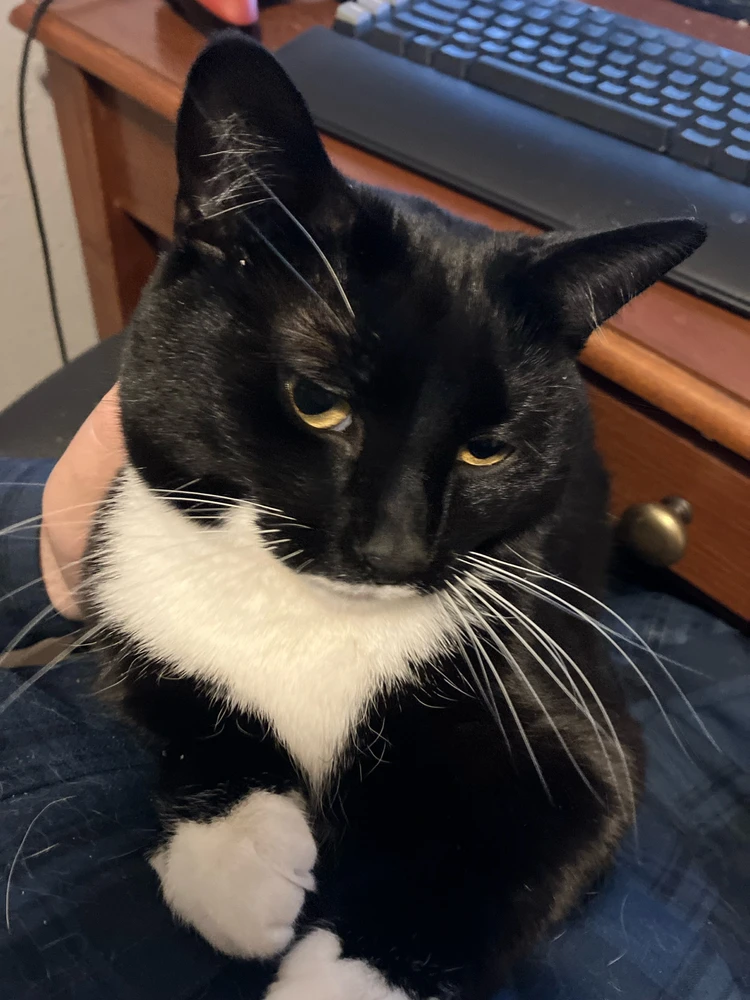 Image uploaded by Dakota