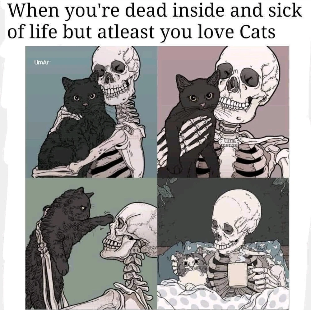 Bild hochgeladen von Reyka