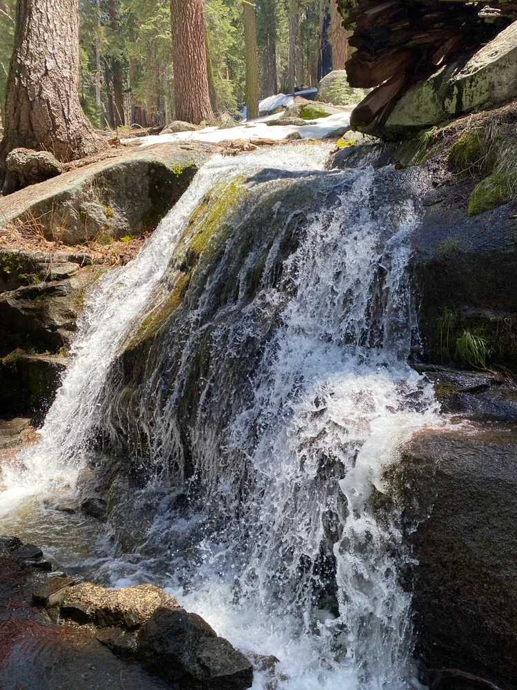 Image uploaded by Pidge