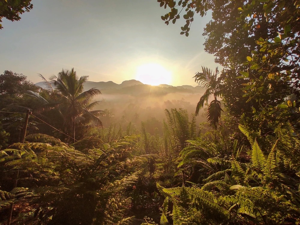 Obrázek nahrál Ivo