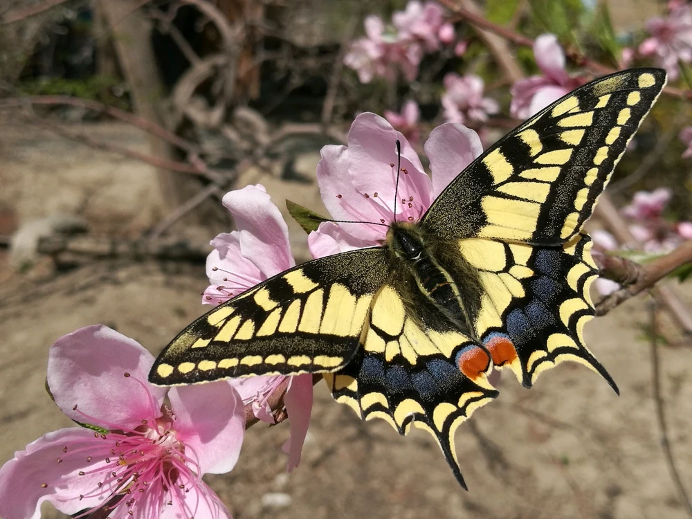 تصویر آپلود شده توسط Moham