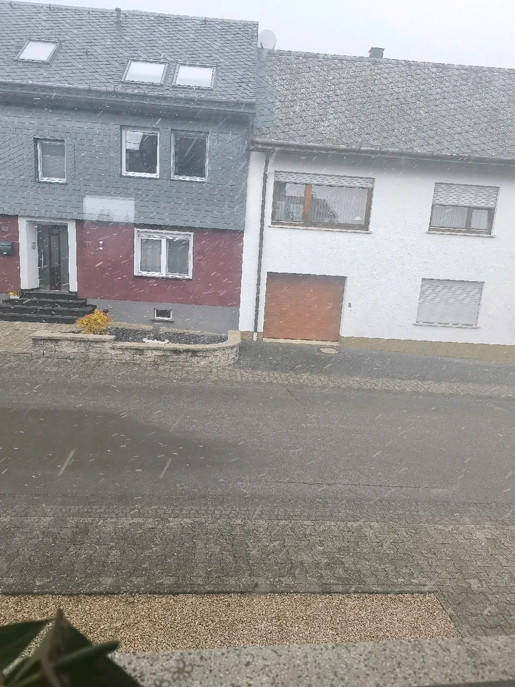 Bild hochgeladen von Viola