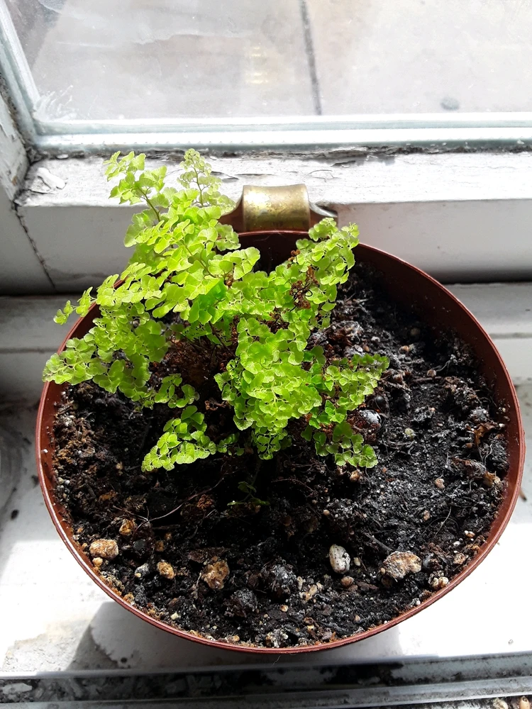 Image uploaded by TᕔꕷᙁĬᙏ ᕓꗛRꗞᙁĬᙅᕔ