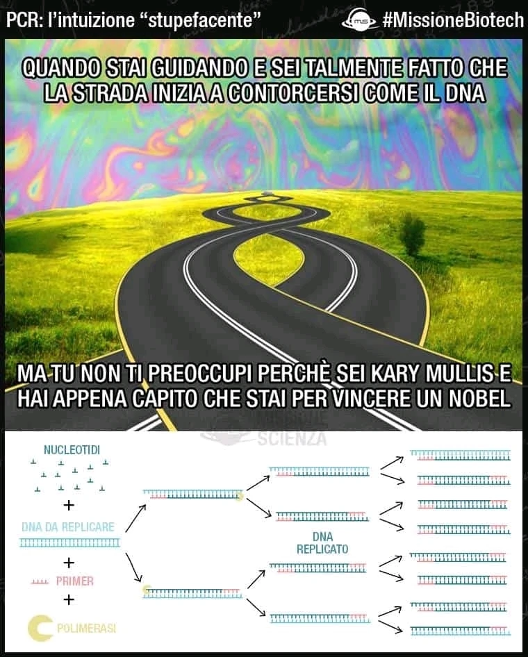 Quello che potrebbe aver visto Mullis mentre era fatto di LSD