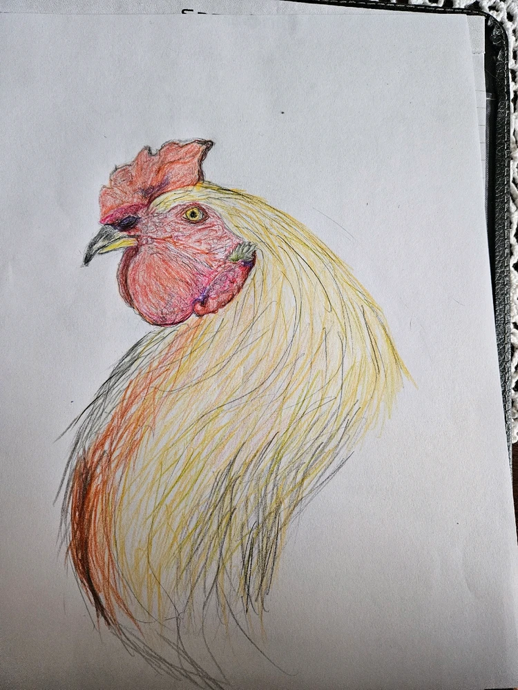 Image uploaded by Powhit