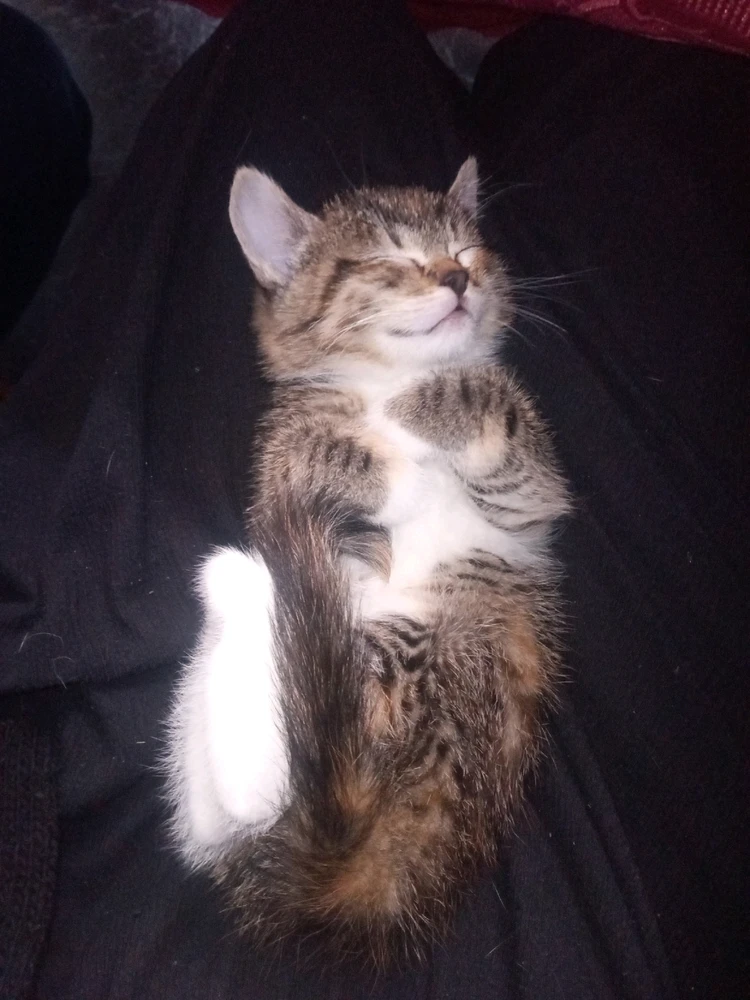 Bild hochgeladen von Kathy