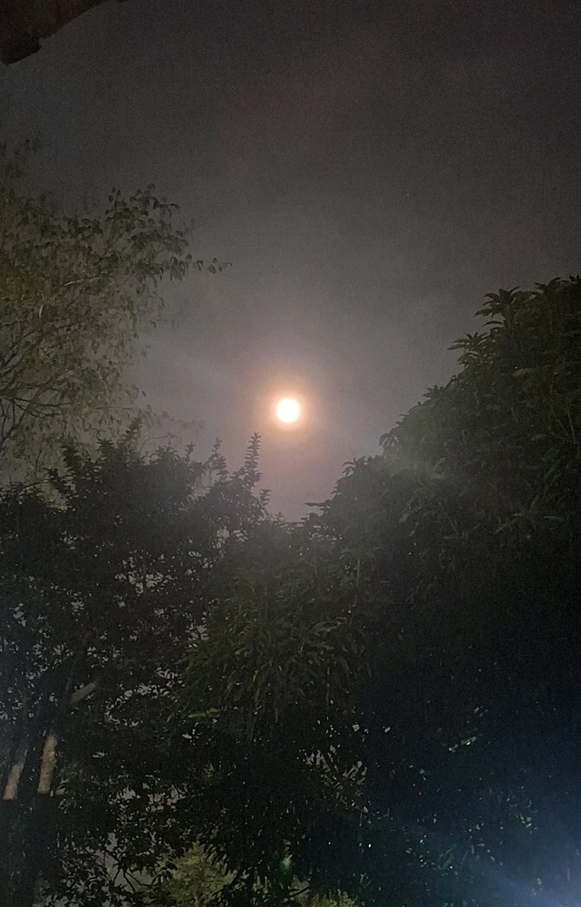 Imagem enviada por Aliadine