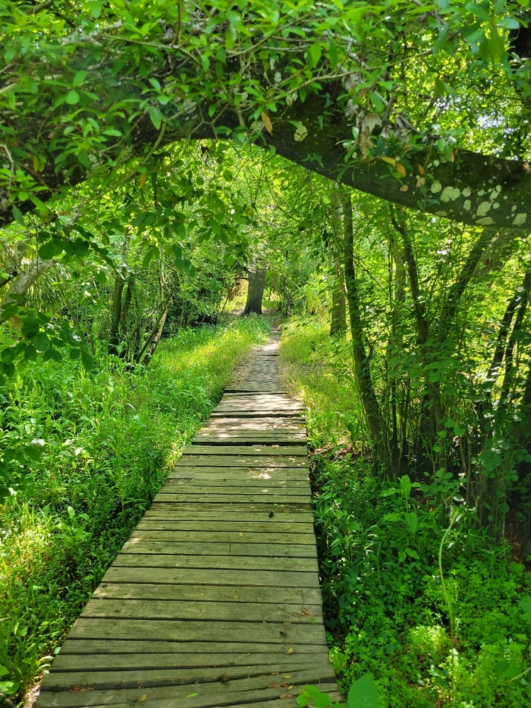 Image uploaded by Zane