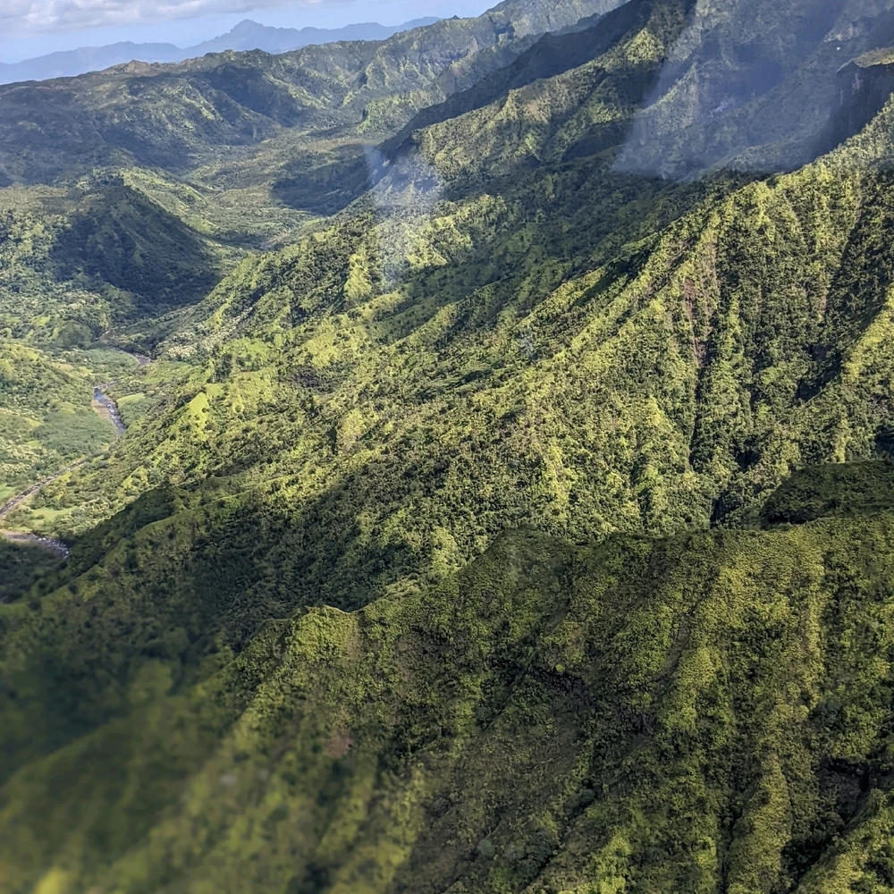 Image uploaded by Michael