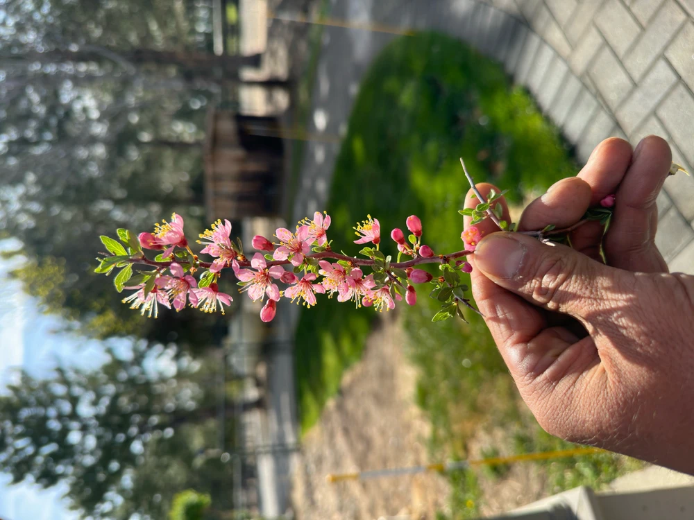 Image uploaded by Carson