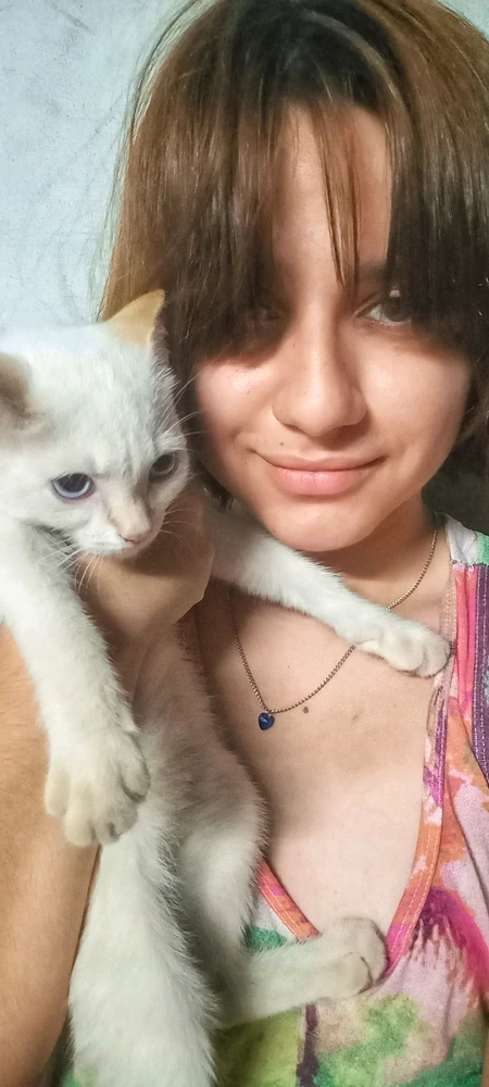 Imagem enviada por Eve