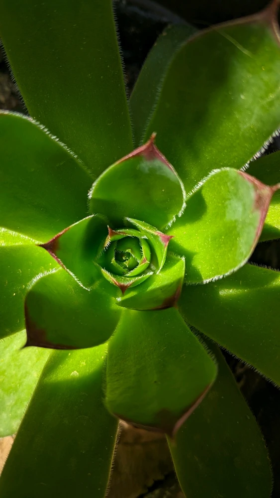 Image uploaded by Dalek