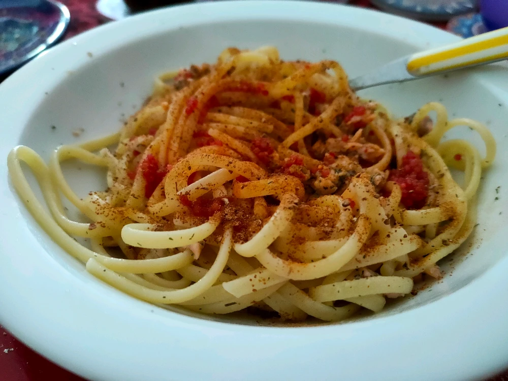 Immagine caricata da ꪑꪖ᥅ᥴꪮ🦉