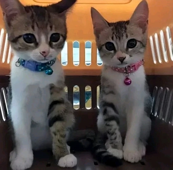 Фото загрузил Nolan