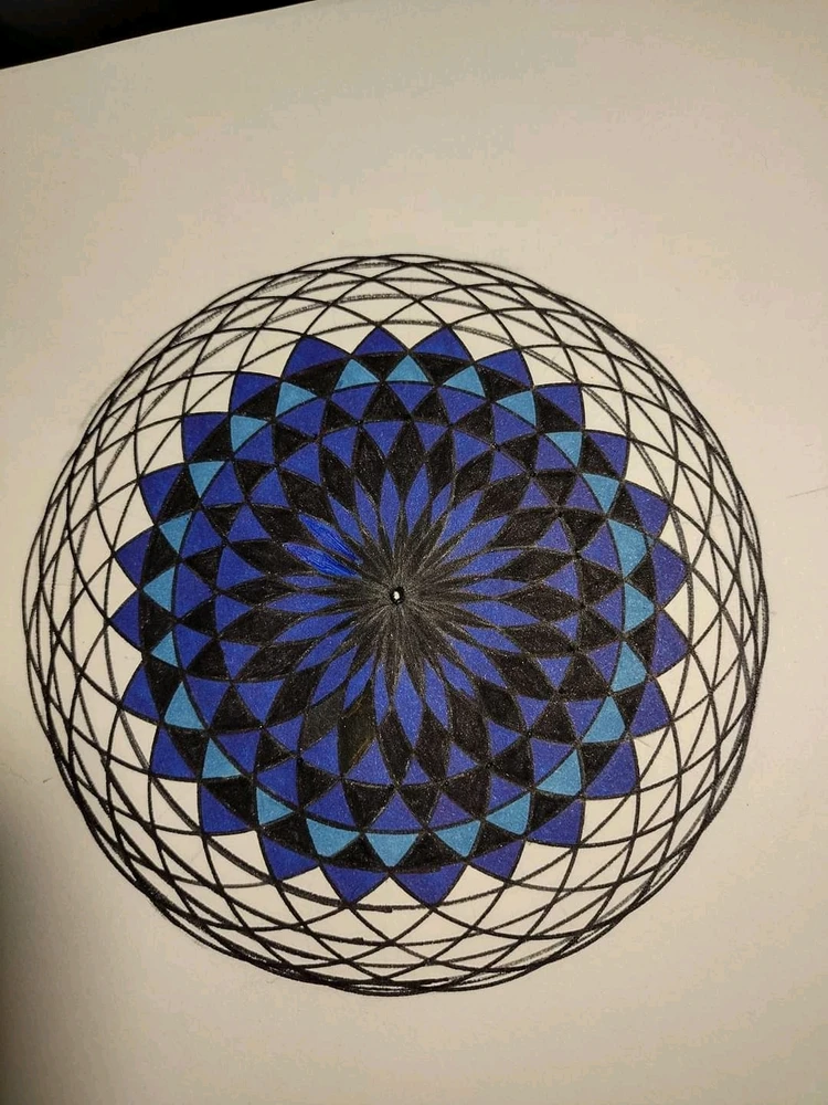 Image uploaded by Erin