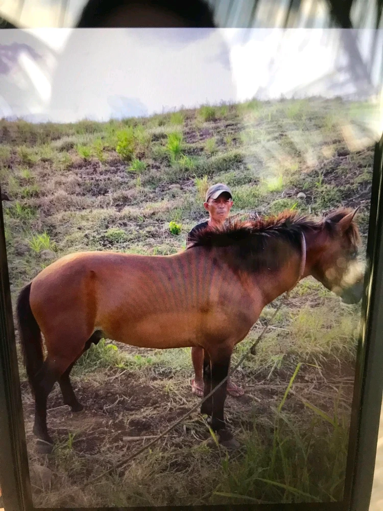 I-upload ni KEINT REUEL SYN ang larawan