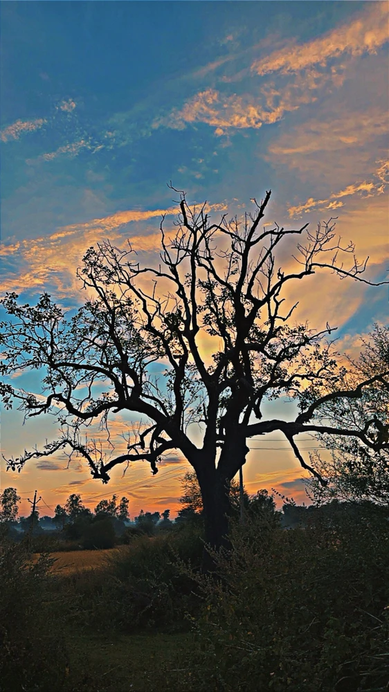 Image uploaded by Raj