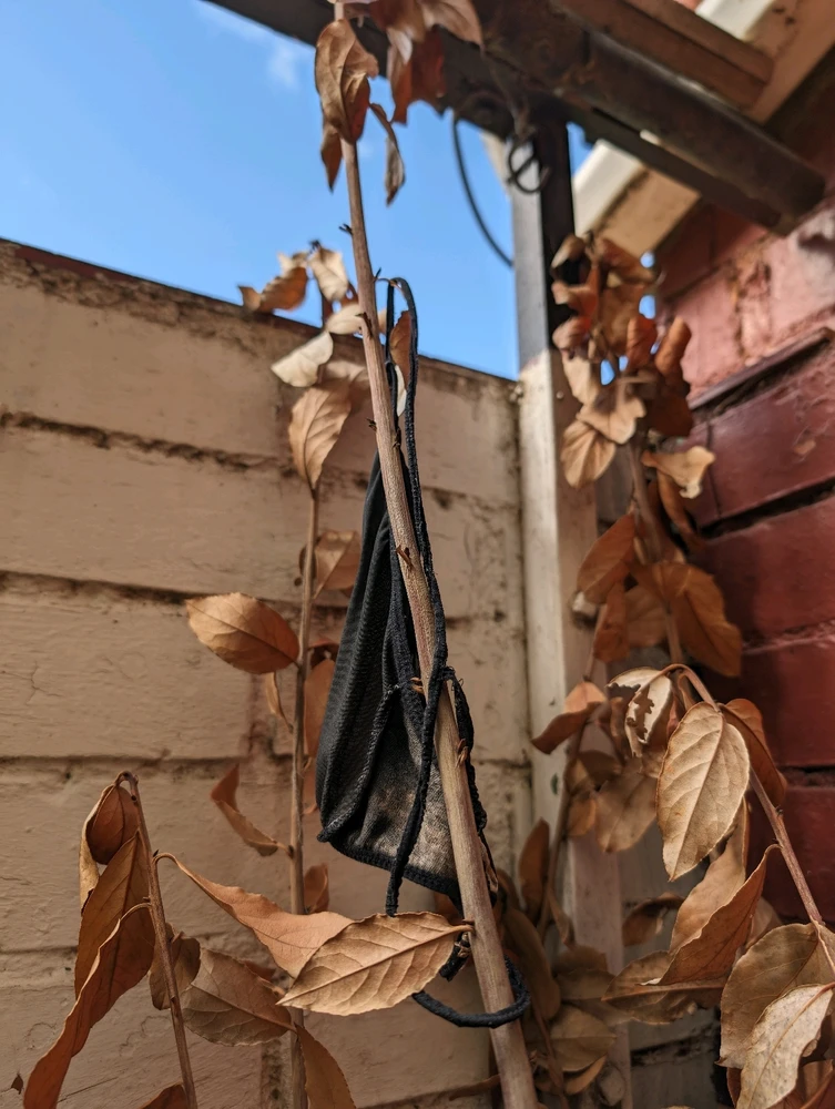 Imatge pujada per Sergi