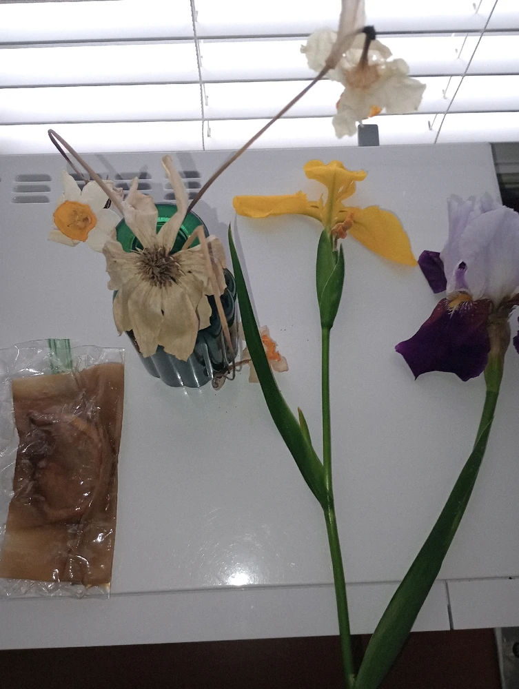 Image uploaded by Sage