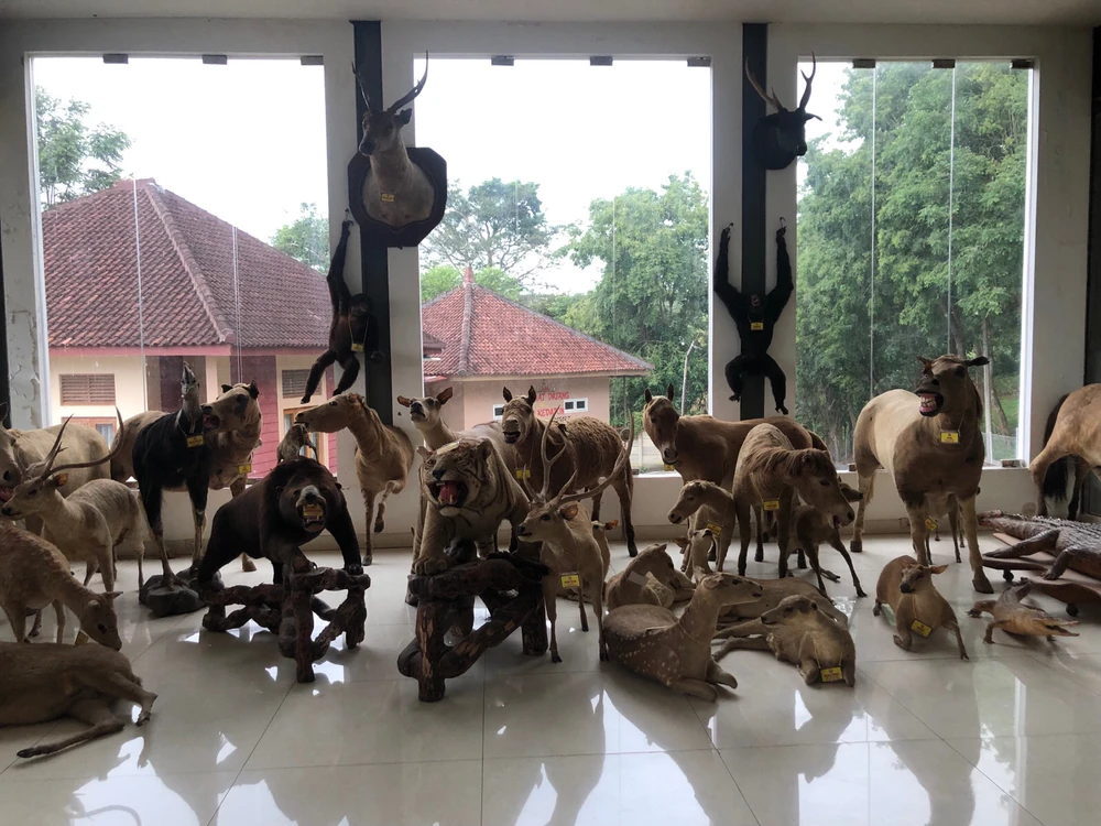 Gambar diunggah oleh levi