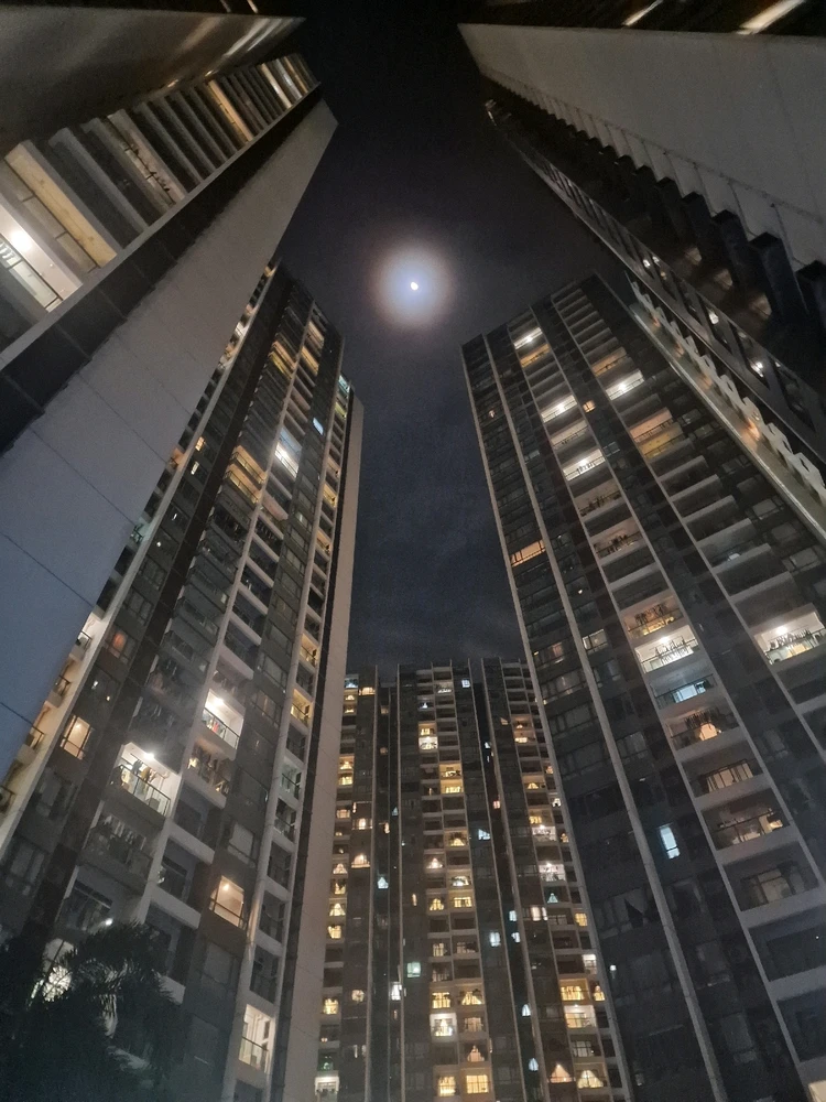 Max님이 올린 사진