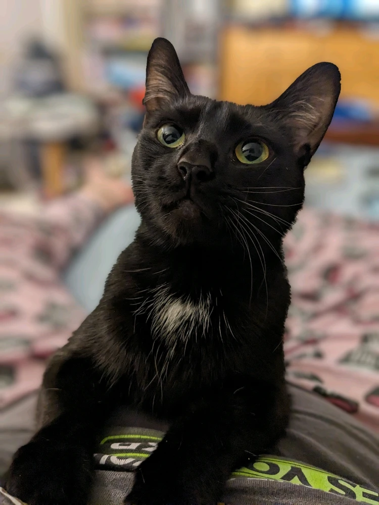 Image ajoutée par Audrey