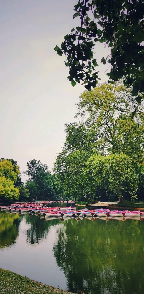 Image uploaded by Shariar Sabuz